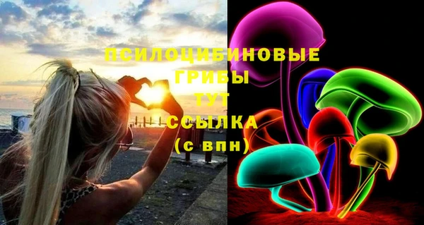 МДПВ Ветлуга